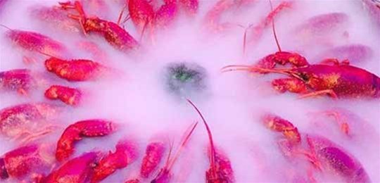 如何選擇山西高純氣體管道配管及附件材料？